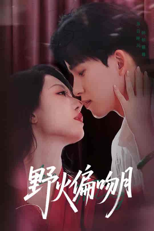 短剧《野火偏吻月》 免费在线观看高清全集，完整版大结局震撼来袭