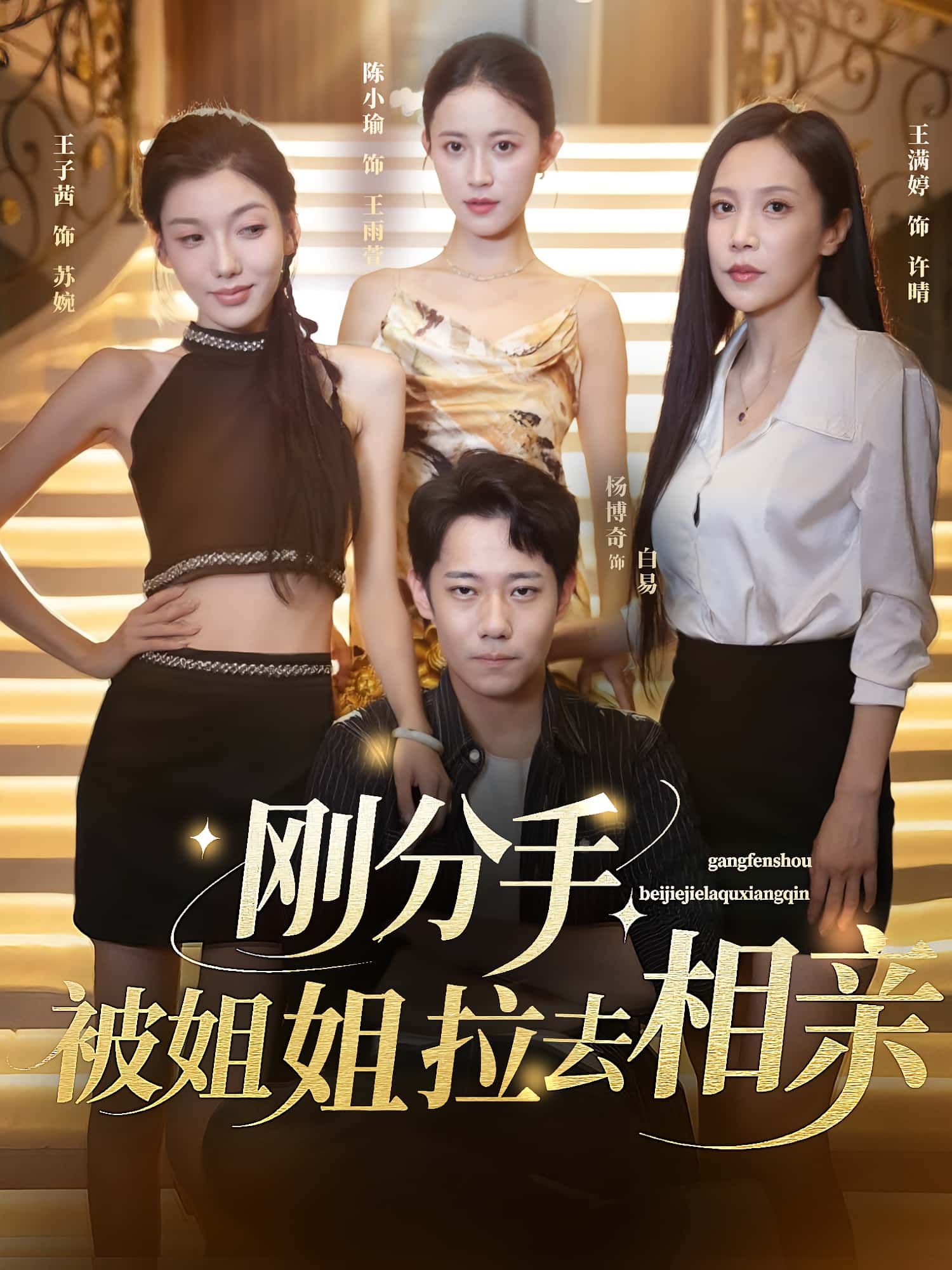 短剧刚分手被姐姐拉去相亲，刚分手被姐姐逼婚相亲，爆笑又甜宠！HD高清全集在线免费观看完整版。